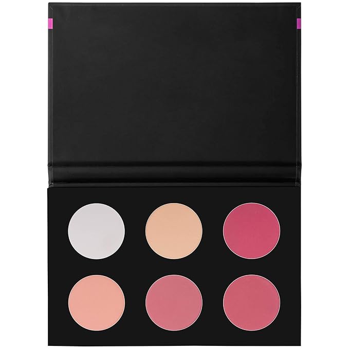 SHANY Cosmetics Shimmer & Matte Blush/Highlighter Face Palette