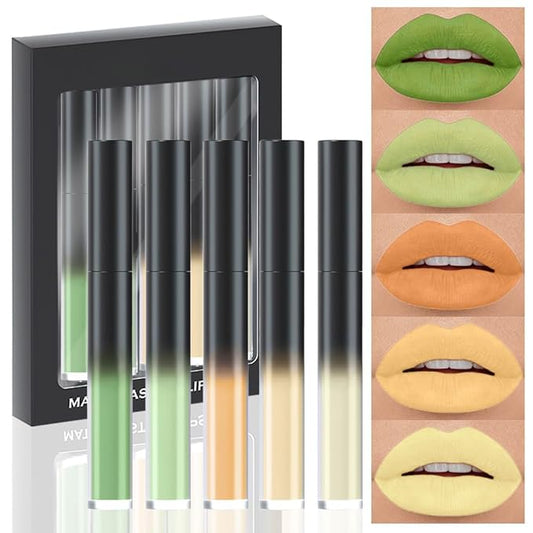 AMY'S DIARY Matte Plum Liquid Lipstick 5Pcs Sets,24-hour Lipstick Green Yello Plum Lip Stain 24 Smudge Waterproof for Women (Set04)