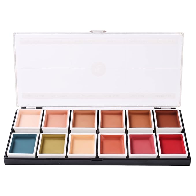 12-Color Flesh Tone Alcohol-Activated Palette, Tattoo Cover, Highly