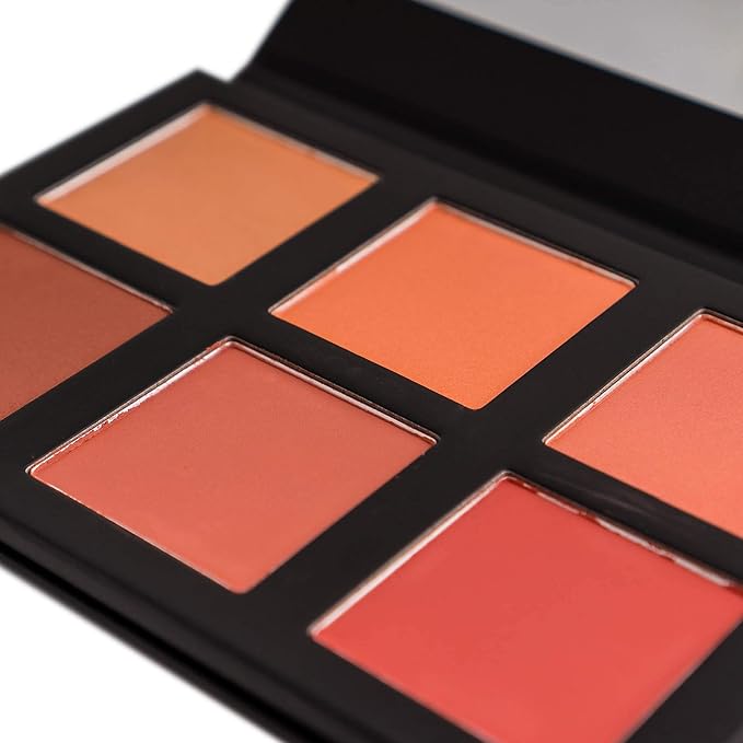 SHANY Shimmer & Matte Powder Blush Makeup Palette